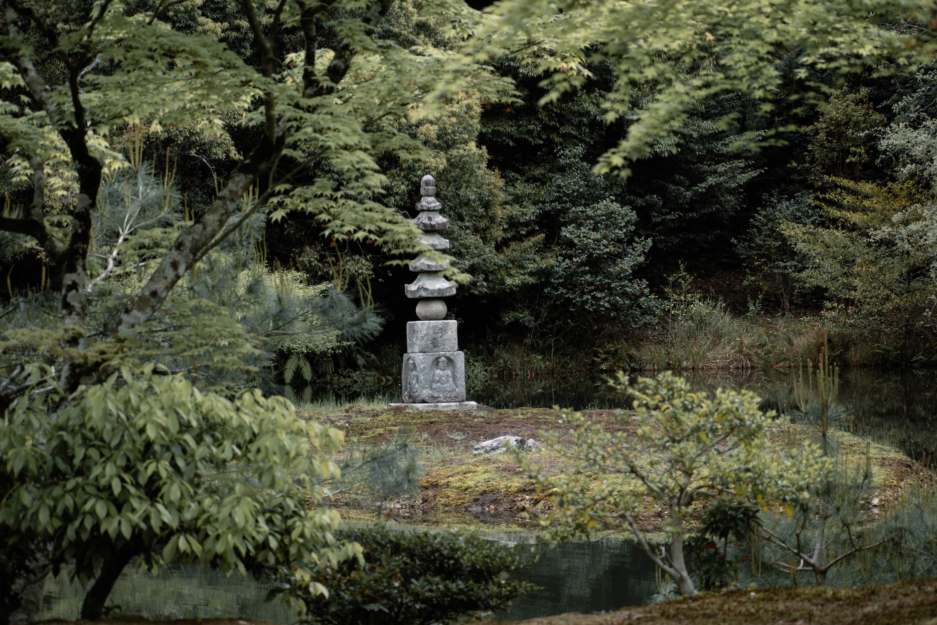 Zen courtyard with cedar trees and raked stones